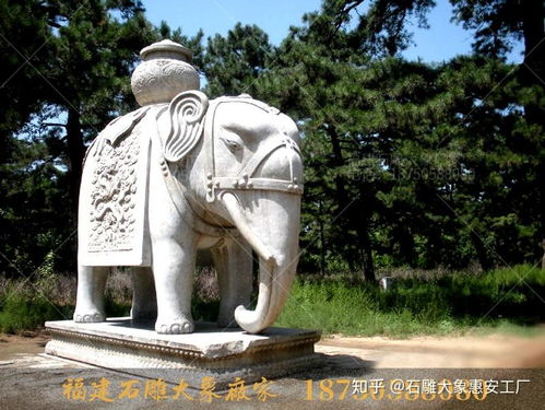 河北清西陵石雕大象造型及墓地?cái)[放石象的作用